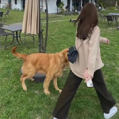 真实诱惑